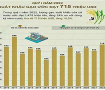 Báo Cáo Xuất Khẩu Gạo Việt Nam 2021 Đến Nay Pdf