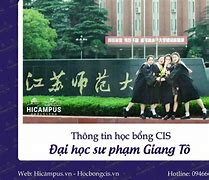 Các Trường Đại Học Có Học Bổng Cis