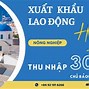 Công Ty Xklđ Vinacom 360 Lừa Đảo Không Review Công Ty