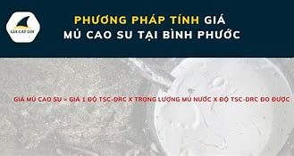 Giá Mủ Cao Su Tại Bình Phước