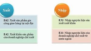 Mã Loại Hình Của Doanh Nghiệp Chế Xuất