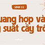 Năng Suất Kinh Tế Của Cây Trồng Là