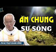 Những Bài Giảng Của Cha Phạm Quang Hồng