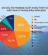 Quy Định Xuất Cảnh Việt Nam 2022 Là Bao Nhiêu